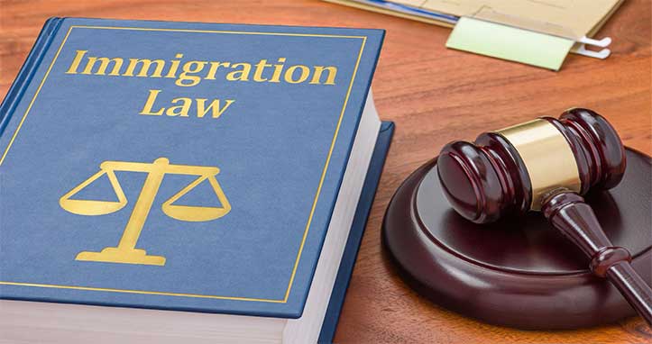 Immigration Lawyers 
