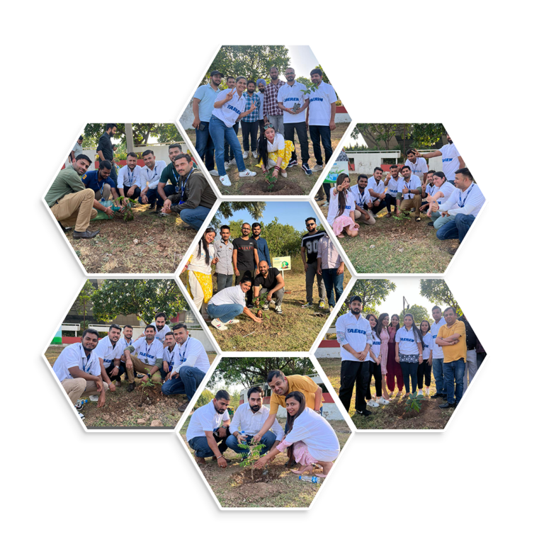 environment-day