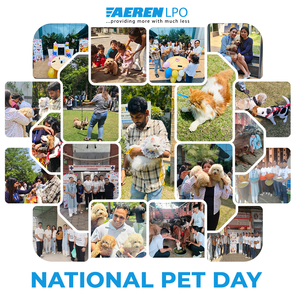 pet-day