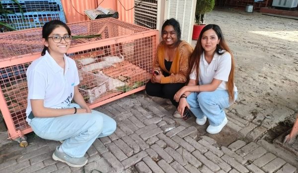 Animal-day-3